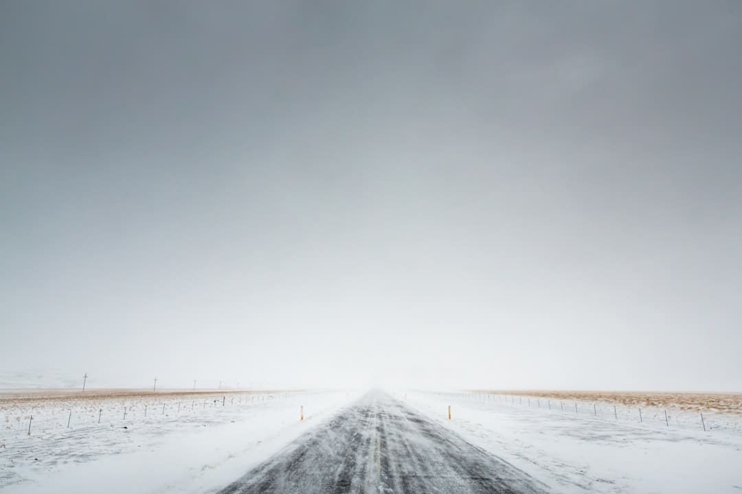 盖尔·加朵回应《白雪公主》票房惨败